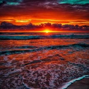 Meet your Posher, Sally mae